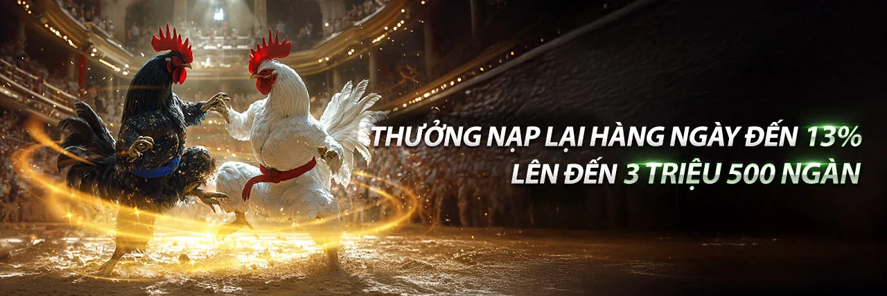 Đá Gà Trực Tiếp Thomo 23/7 CPC4
